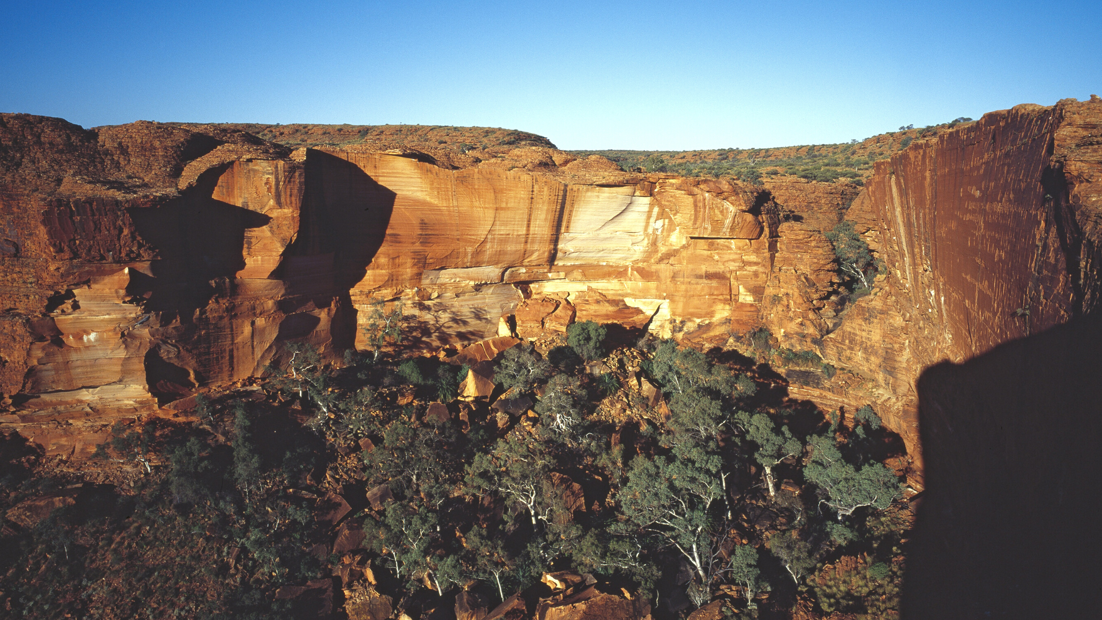 What I Do When My Liver Is in Crisis — A Real-Time Protocol