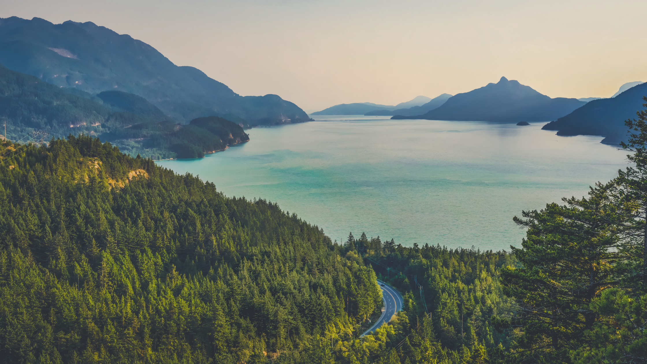 5 Early Warning Signs Your Liver Needs Support (That Most People Miss)