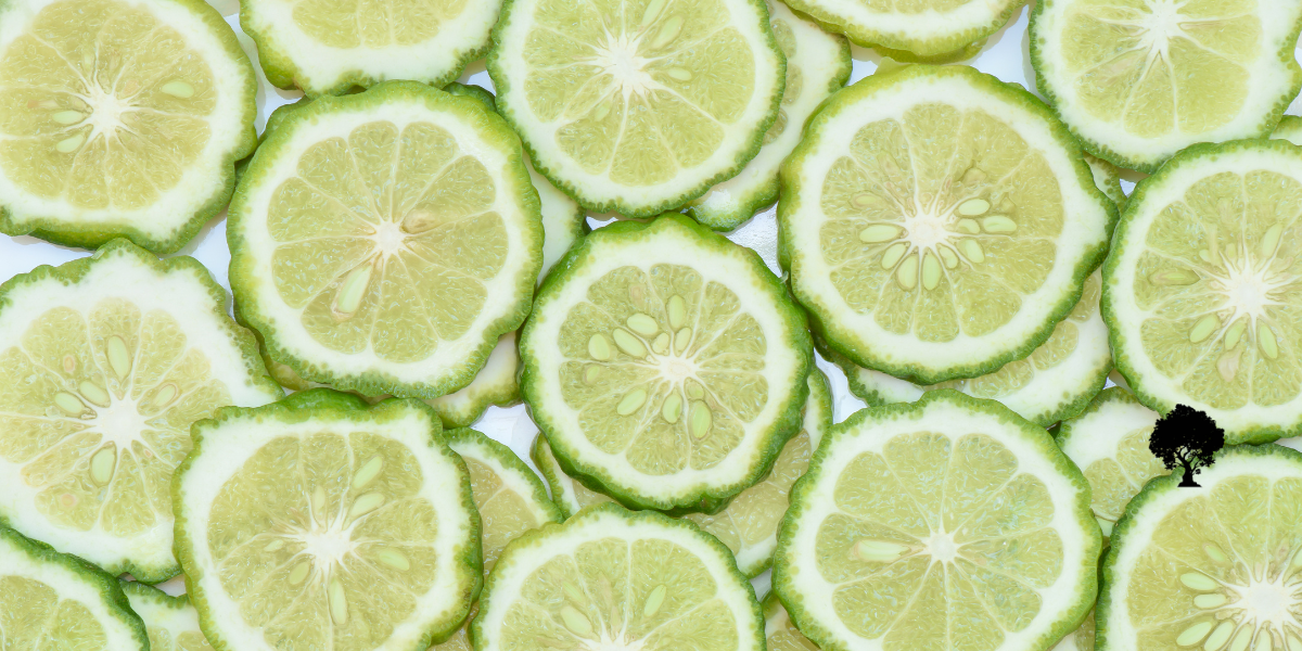 Why Your Body Craves Bergamot - And Why That's Beautiful
