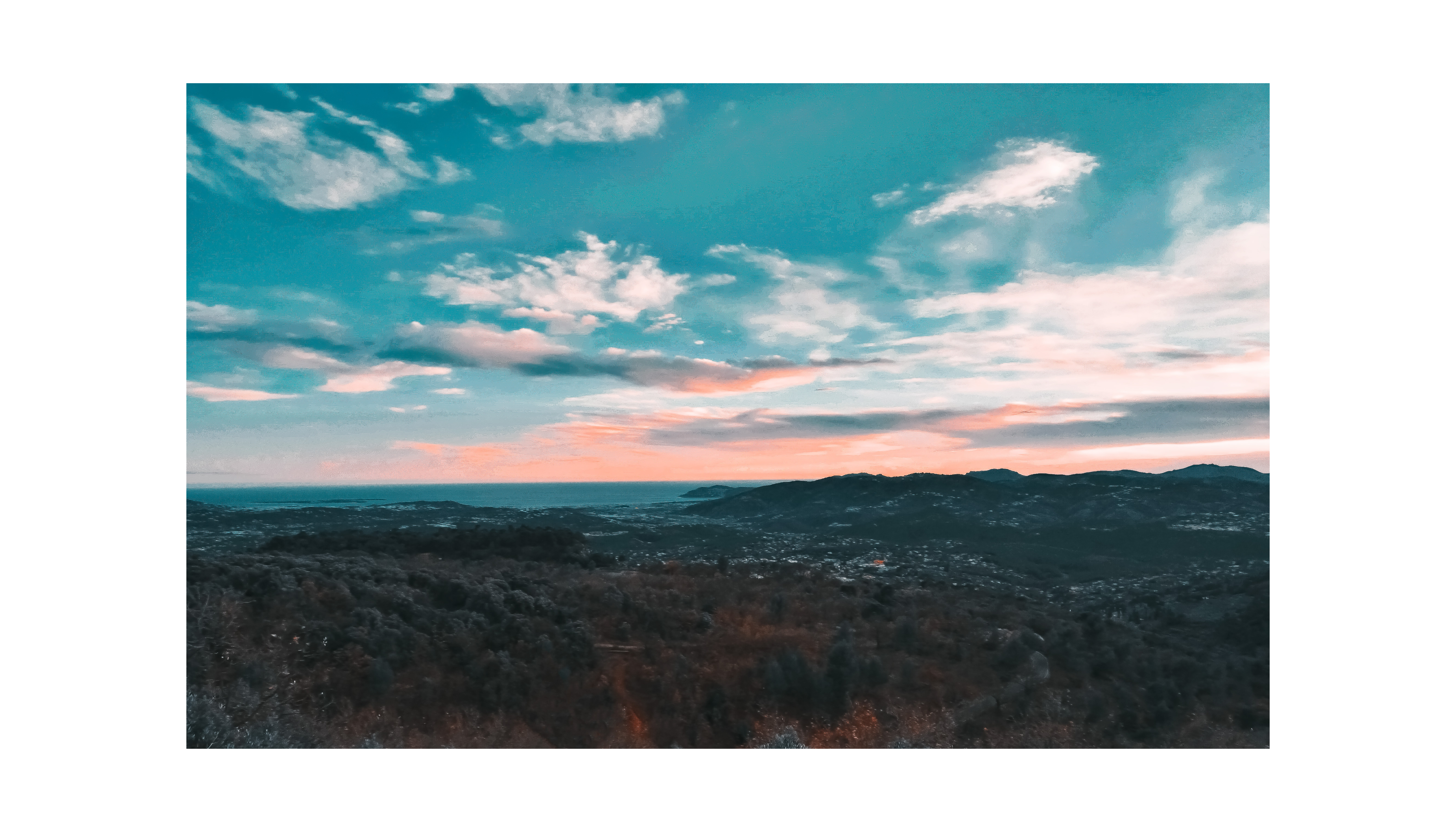 What Essential Oils Help the Gallbladder?