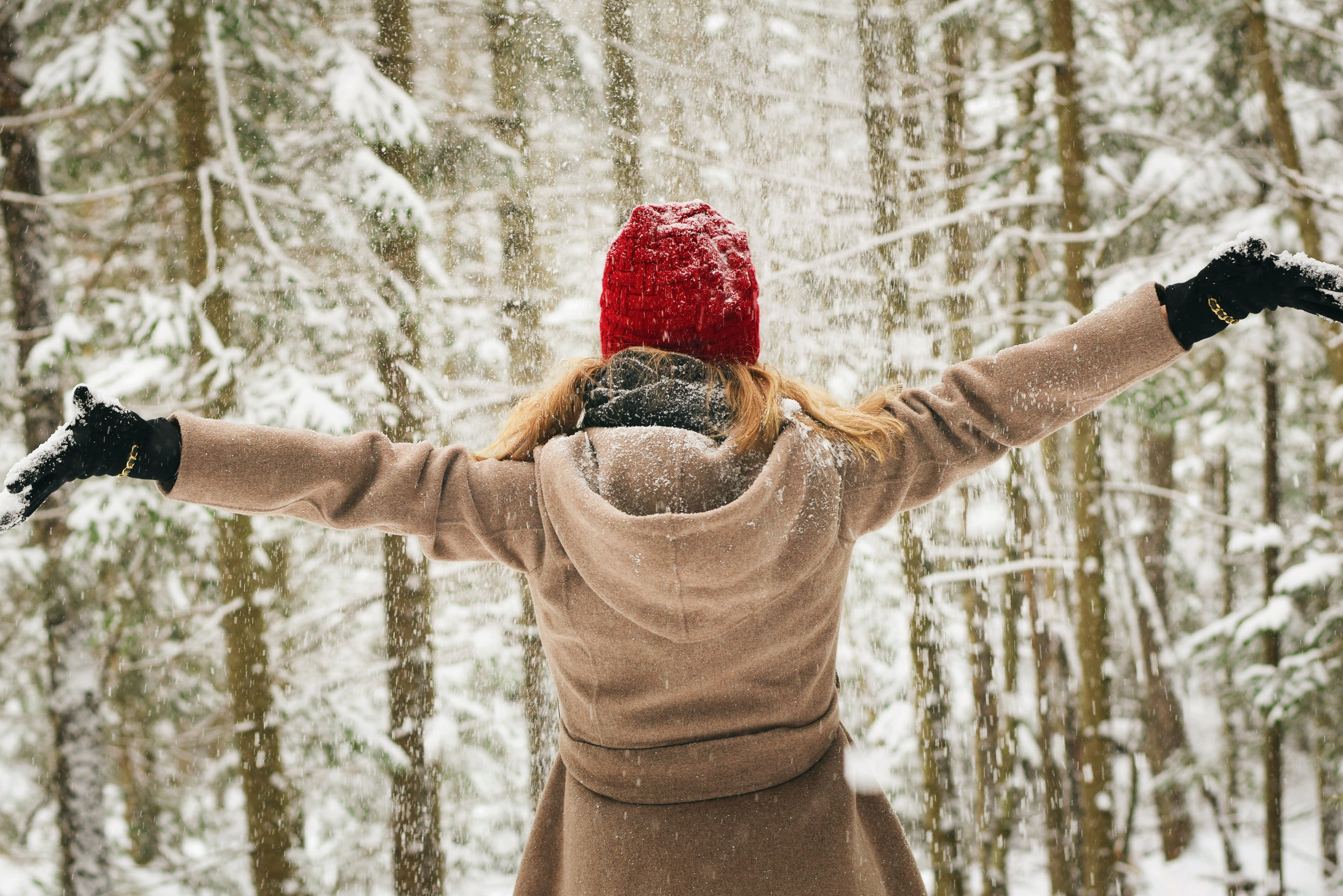 Forest Snowfall Essential Oil Blend